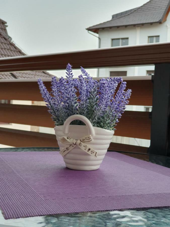 Aparthotel Zlatibor Hills Lara Esterno foto